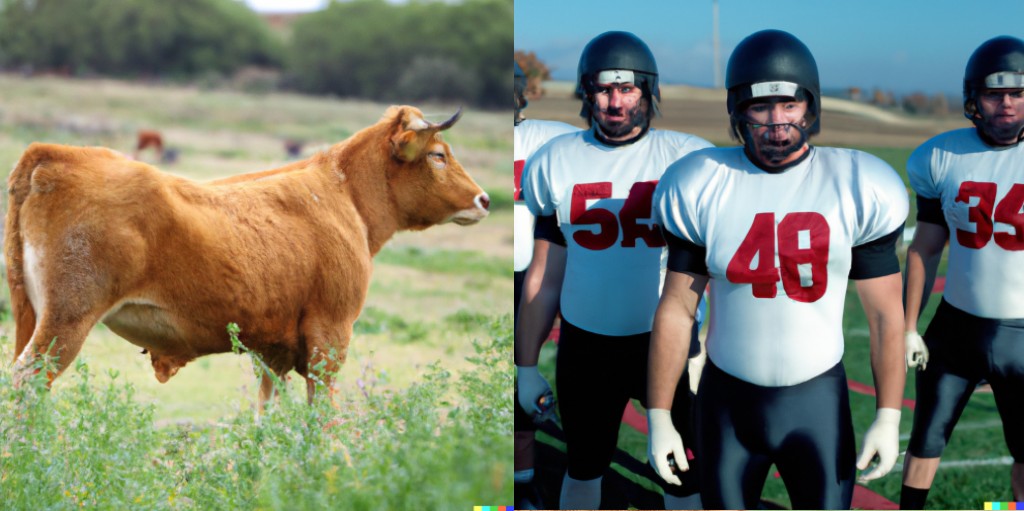 a bull and three football linebackers