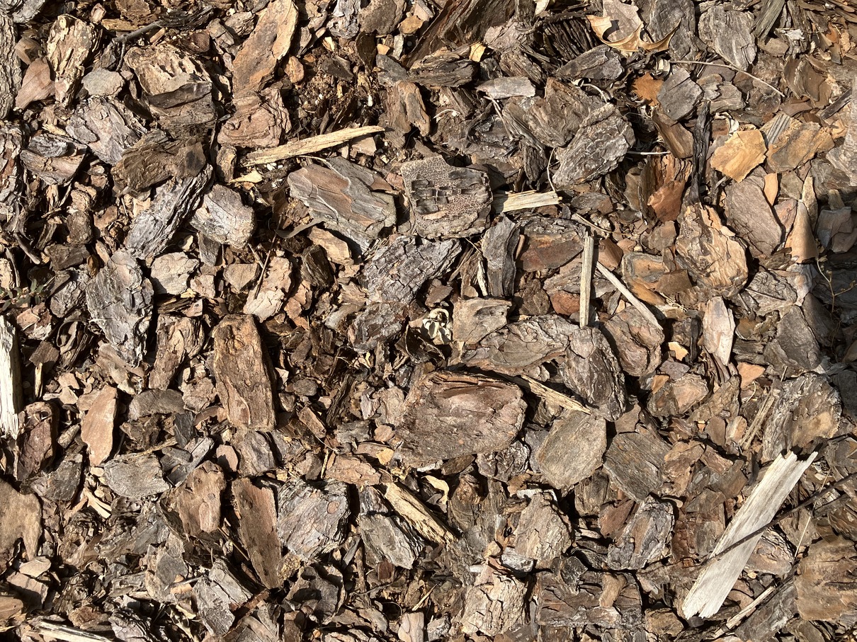 Pine bark mulch