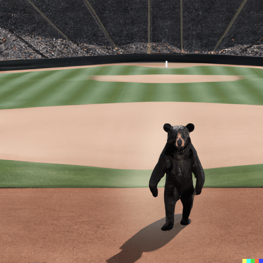 black bear in center field